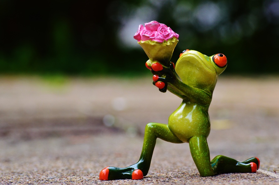 Frog holding up flowers
