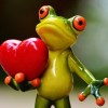 Image of a frog statue holding a heart 