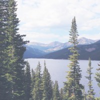 Image of some trees, lakes and mountains
